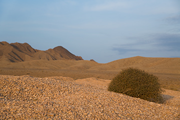 Khur and Biabanak, Iran