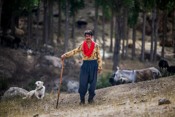 Shepherd in Polour