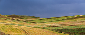 Farms around Qazvin